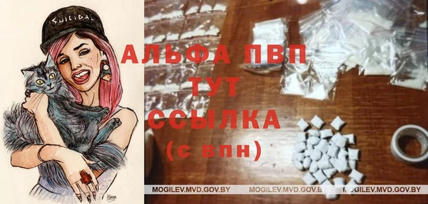 PSILOCYBIN Зеленодольск